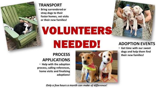 Volunteers needed. Transport, adoption events, process applications.