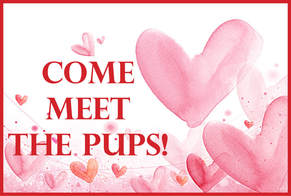 Come Meet the Pups, Hearts background